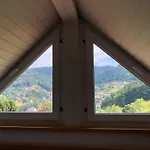 Dachstudio In Traumlage Mit Spektakulaerem Ausblick Buhlertal