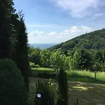 Dachstudio In Traumlage Mit Spektakulaerem Ausblick *