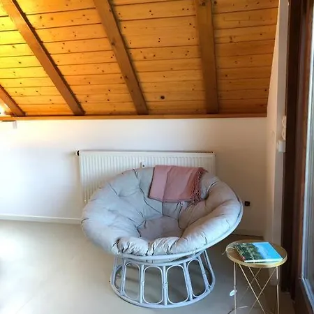 Dachstudio In Traumlage Mit Spektakulaerem Ausblick Apartamento Bühlertal