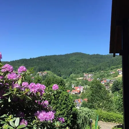 Διαμέρισμα Panorama Loft Im Schwarzwald Mit Spektakulaerer Aussicht, 3 Schlafzimmer, Direkt Am Waldrand, Grosser Garten, Nahe Baden-baden *