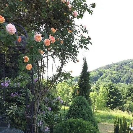 Διαμέρισμα Panorama Loft Im Schwarzwald Mit Spektakulaerer Aussicht, 3 Schlafzimmer, Direkt Am Waldrand, Grosser Garten, Nahe Baden-baden *