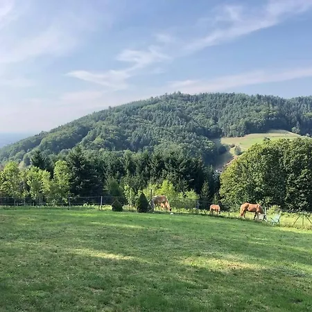 Panorama Loft Im Schwarzwald Mit Spektakulaerer Aussicht, 3 Schlafzimmer, Direkt Am Waldrand, Grosser Garten, Nahe Baden-baden