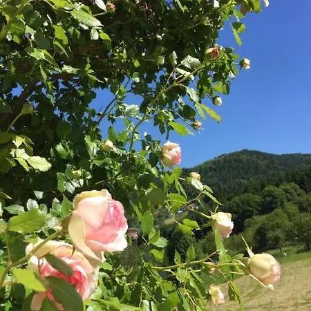 Panorama Loft Im Schwarzwald Mit Spektakulaerer Aussicht, 3 Schlafzimmer, Direkt Am Waldrand, Grosser Garten, Nahe Baden-baden Διαμέρισμα *