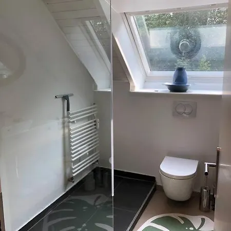 Panorama Loft Im Schwarzwald Mit Spektakulaerer Aussicht, 3 Schlafzimmer, Direkt Am Waldrand, Grosser Garten, Nahe Baden-baden Διαμέρισμα Bühlertal
